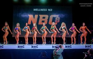 WELLNESS 163